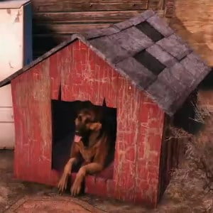 Dress up Dogmeat, or build him a doghouse