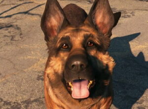 How to dress up Dogmeat in Fallout 4