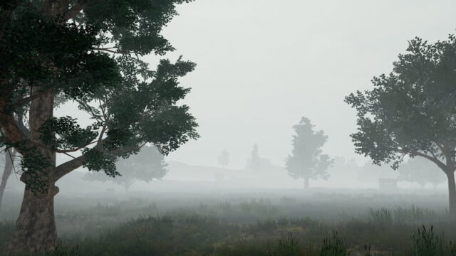 PUBG ini files fog