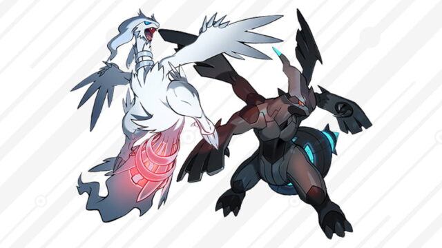Legendary Pokemon Reshiram and Zekrom