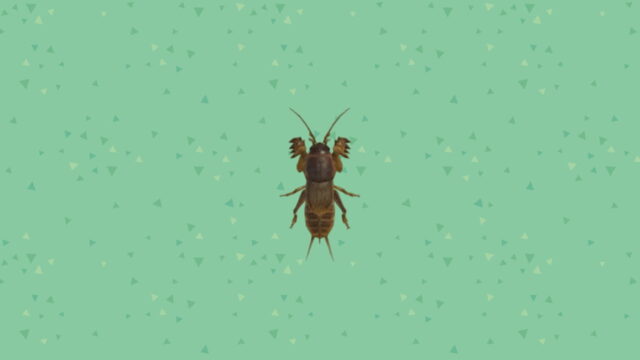 Animal Crossing: New Horizons - Mole Cricket