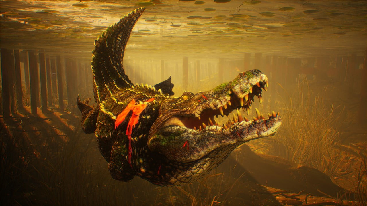 Maneater alligator