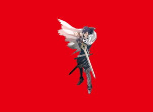 My Nintendo - Fire Emblem Awakening