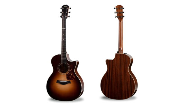 Limited Edition The Last of Us Part II Taylor 314ce