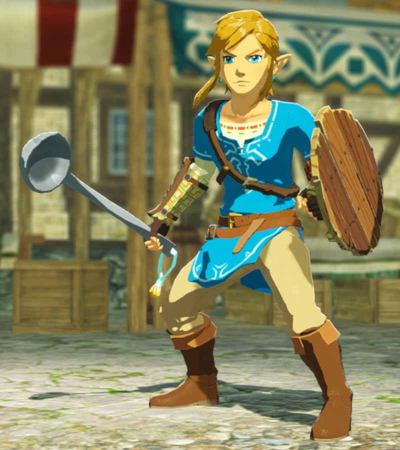 Hyrule Warriors pre-order - Lucky Ladle