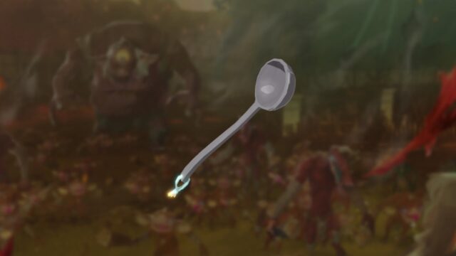 Hyrule Warriors pre-order - Lucky Ladle