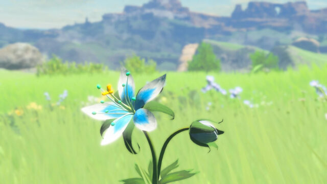 zelda silent princess