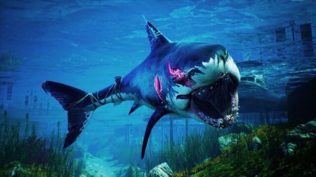Maneater Nintendo Switch release date