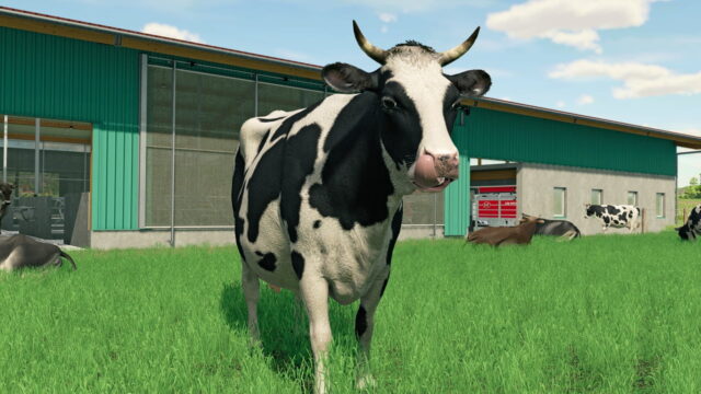 Farming Simulator 22 - Cow